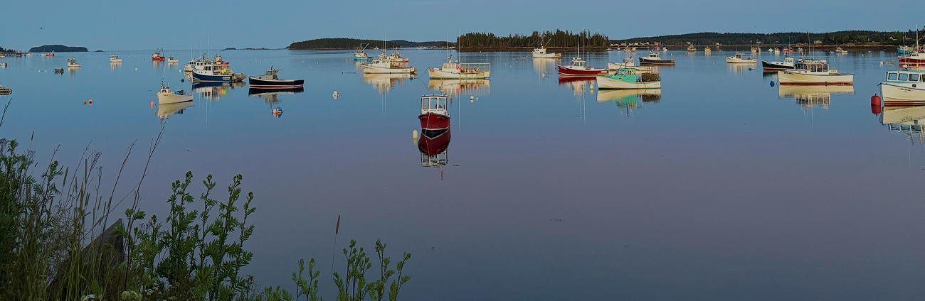 Oceanfront Harbor
