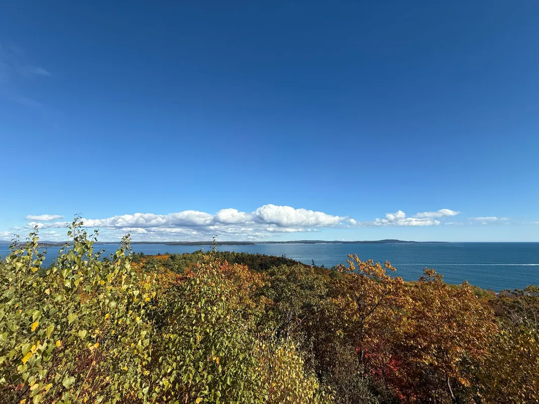 Waterfront view