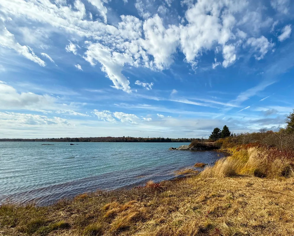 Oceanfront landscape