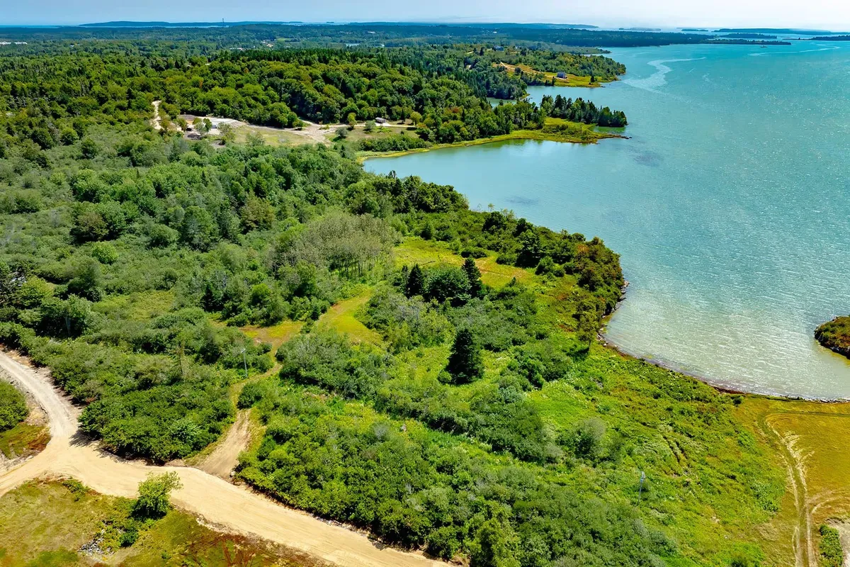 Aerial portrait of Seaberry Landing forested peninsula surrounded by water