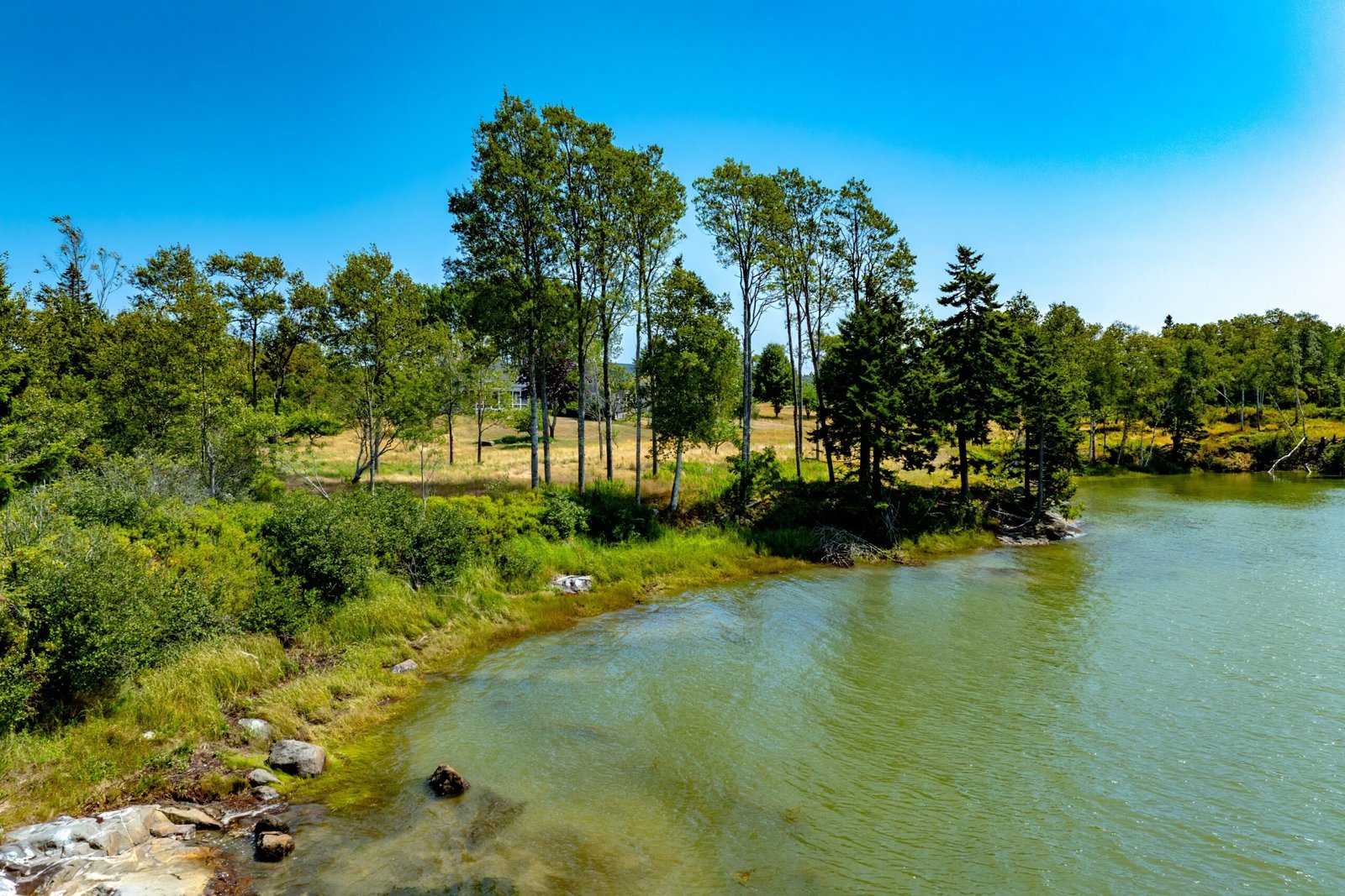 Waterfront view