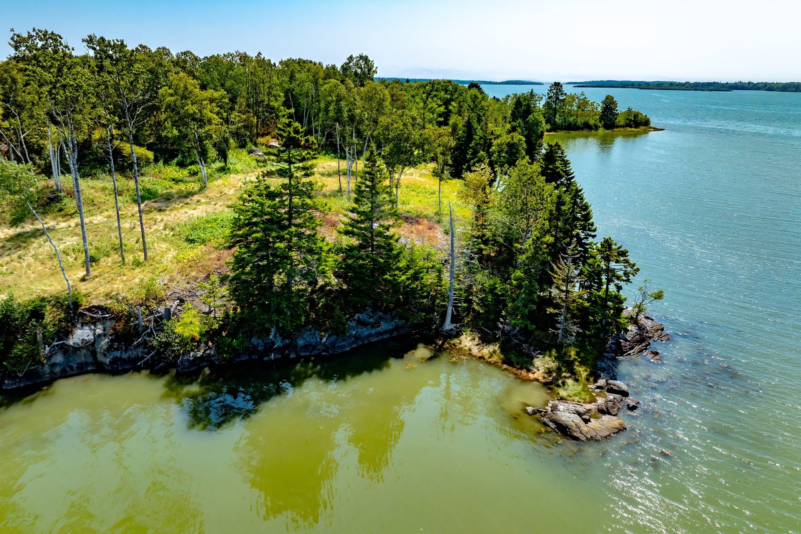 Oceanfront landscape